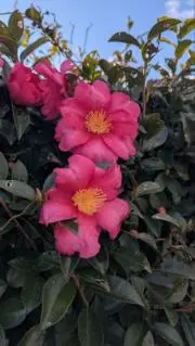 フリーバンクの画像