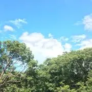 ユウコの画像