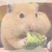 い　ぬ