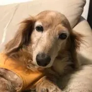 zinnnosuke0709の画像