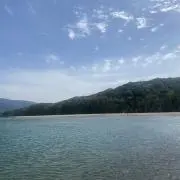 ぽん