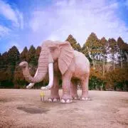 モッコリ