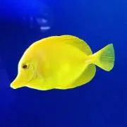 UTの画像