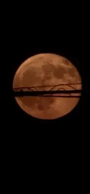 くまきち