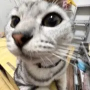 M_ anantの画像