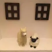 milk