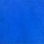 こたろう