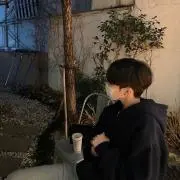 應の画像