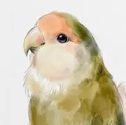 coco*の画像