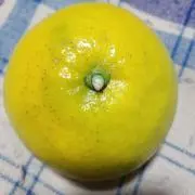 果実の森の画像