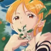 ワンピの画像