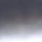 JJ