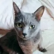 かなぶー