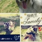 ⭐ぱぴこ⭐