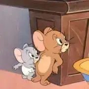 Ranの画像