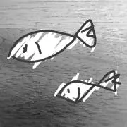 しらすの画像