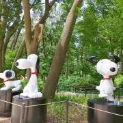 SAYA記載文プロフィール必読の画像