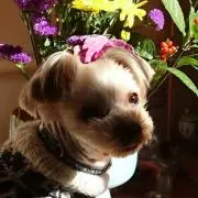 ☆ゆかっち☆の画像