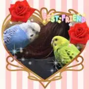 百合太郎☆いきなり購入OK♪プロフ必読