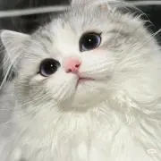 まなの画像