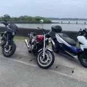 パイオニアの画像