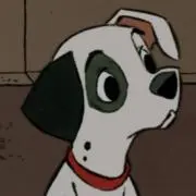 るちゃの画像