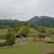 ディチェルの画像
