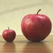 おぷしモンちっちの画像