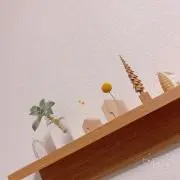 柚子