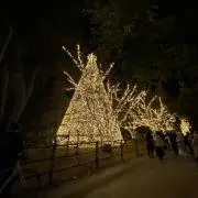 ととてんの画像