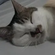 タオルの佃煮