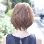 森のくまさんの画像