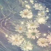 mironaの画像