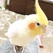 naaa♡の画像