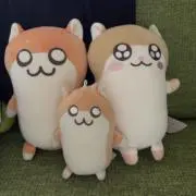 treasureの画像