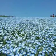 ファンファン☆一度コメント入れて下さいの画像