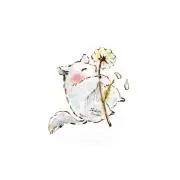 こた