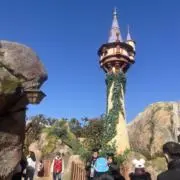 ありんこの画像