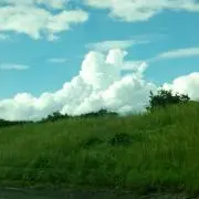 しょ～ちゃんの画像