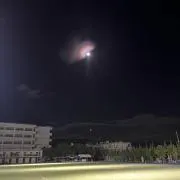 ちーすけの画像