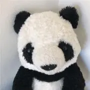 アジパンダ
