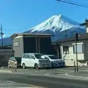 こめちゃんの画像