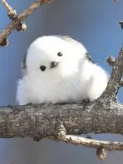misamamaの画像