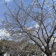 ヒロ