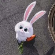 すのーぼーるの画像