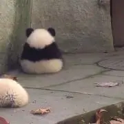 みみむの画像
