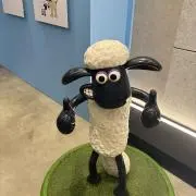 りさの画像