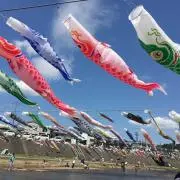 Yokoの画像