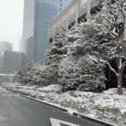 ユキだるまの画像