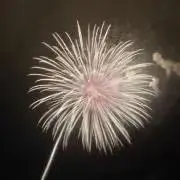 日向夏の画像